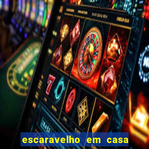escaravelho em casa significado espiritual